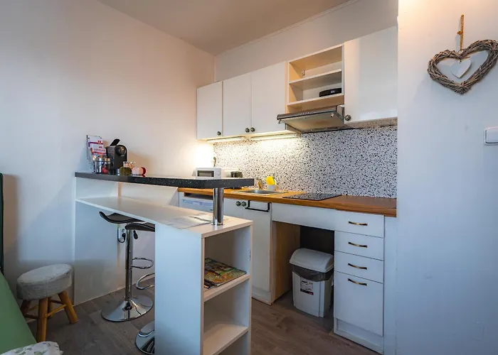 Vychozi Bod Pro Saske Svycarsko, Pet Friendly, Decinsky Moderni * 德辛