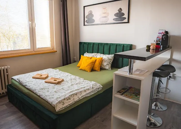 Vychozi Bod Pro Saske Svycarsko, Pet Friendly, Decinsky Moderni 公寓