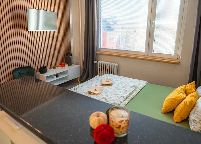 Vychozi Bod Pro Saske Svycarsko, Pet Friendly, Decinsky Moderni 公寓 德辛