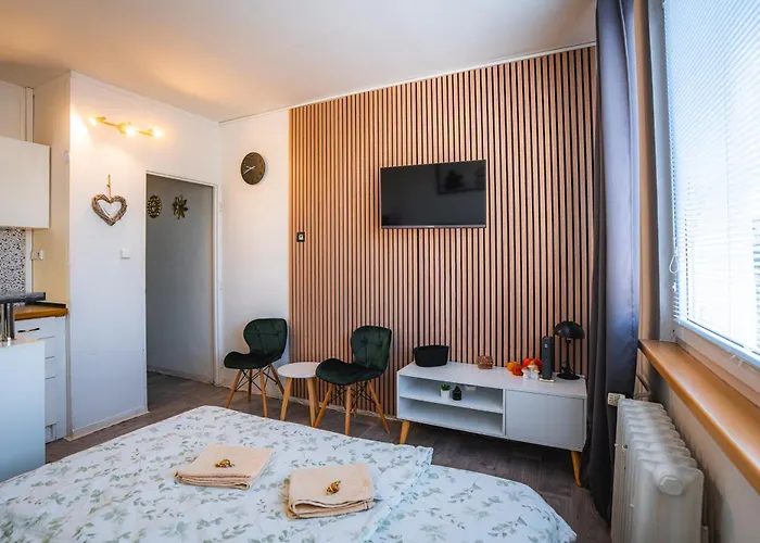 Vychozi Bod Pro Saske Svycarsko, Pet Friendly, Decinsky Moderni * 德辛