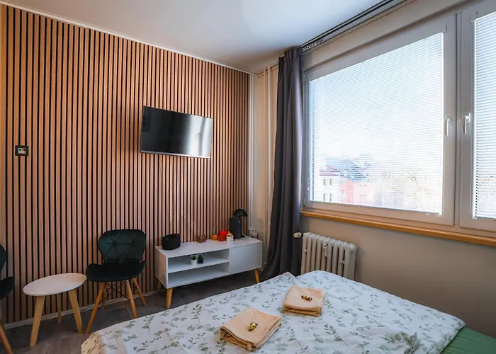 Vychozi Bod Pro Saske Svycarsko, Pet Friendly, Decinsky Moderni 公寓 德辛